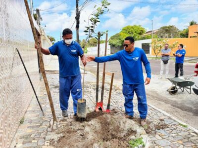 Aruana recebe oito mudas do projeto Calçada Viva em Aracaju