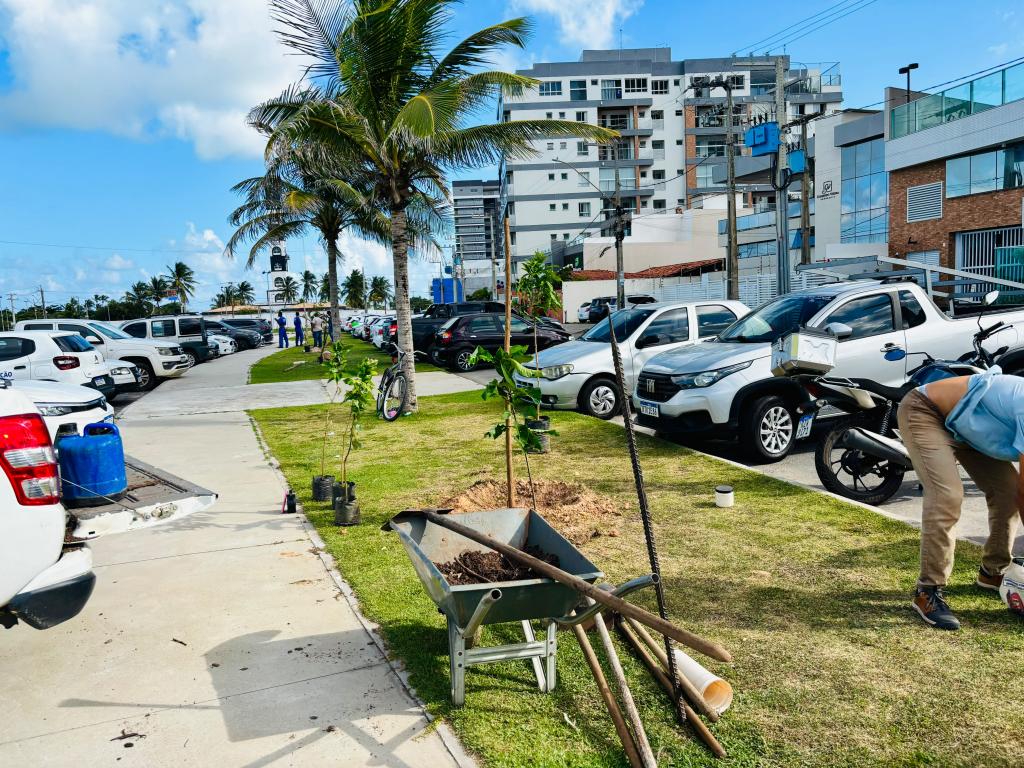 Coroa do Meio recebe 10 mudas após pedido de moradores em Aracaju