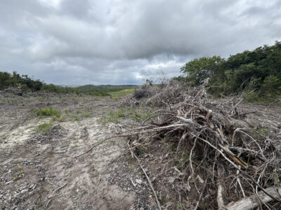 Força-tarefa em Sergipe multa R$638 mil e autua 10 ha de desmatamento