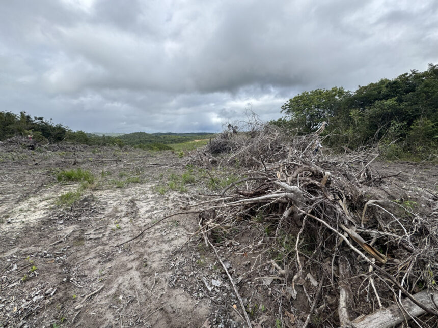 Força-tarefa em Sergipe multa R$638 mil e autua 10 ha de desmatamento