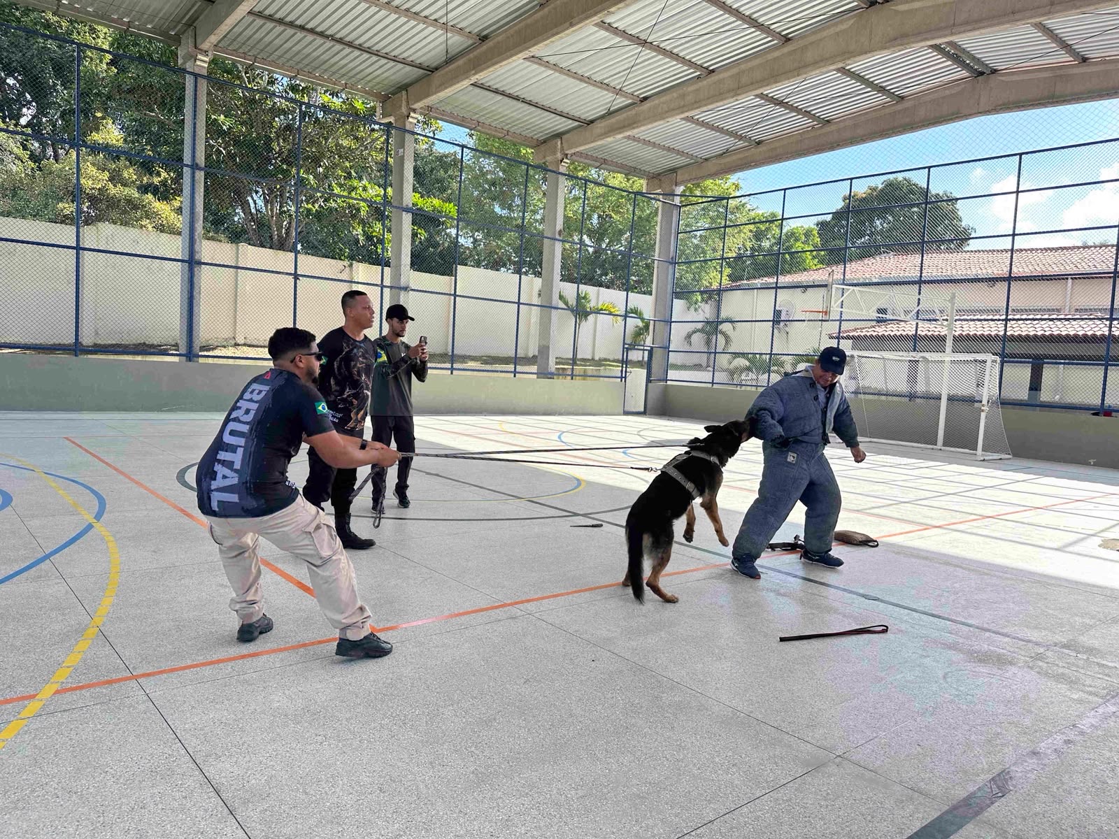Guarda Municipal de Itabaianinha treina cães para reforçar segurança