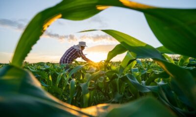Sergipe: crédito rural cresce 8,3% e Pronaf supera R$ 1,05 bilhão