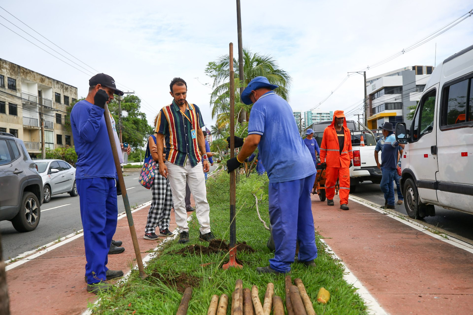 Aracaju planta 106 árvores em duas avenidas para reduzir calor