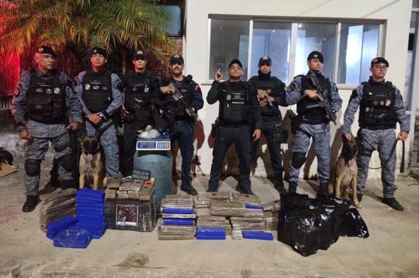 Polícia apreende 100 kg de maconha enterrada na Mussuca