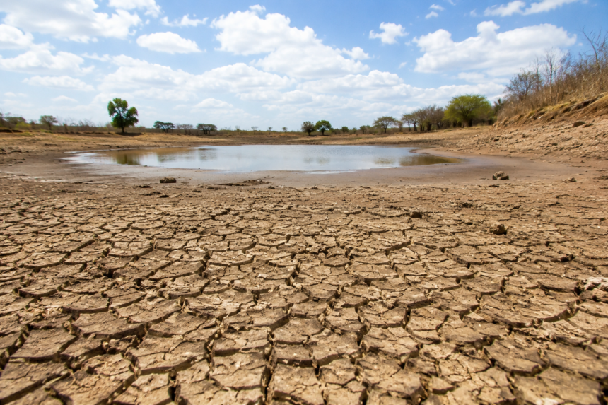 Seca avança: El Niño reduz chuvas e aquece o Alto Sertão de SE