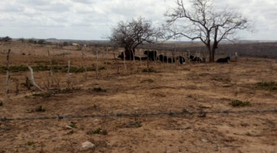 Sergipe enfrenta avanço da seca e alerta para mais incêndios