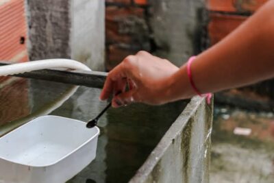 Nossa Senhora da Glória tem alto risco para infestação do Aedes em Sergipe