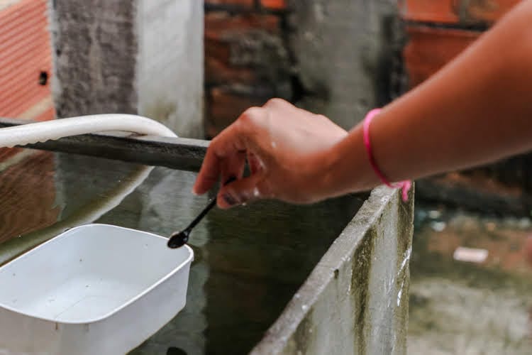 Nossa Senhora da Glória tem alto risco para infestação do Aedes em Sergipe